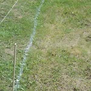 Meet your Posher, Larrydawn